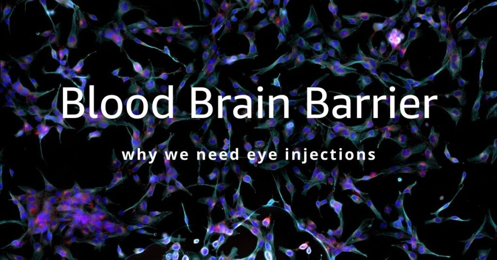 Featured Image | Blood Brain Barrier | The Eye Professionals