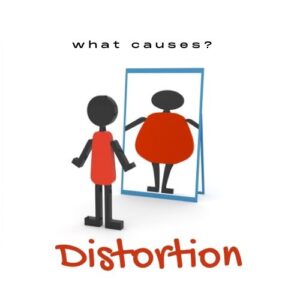 Article Image for Causes of Distortion