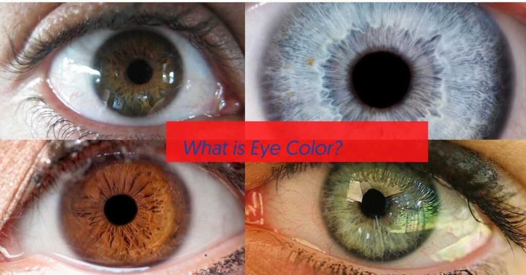 Featured Image Color of Eyes