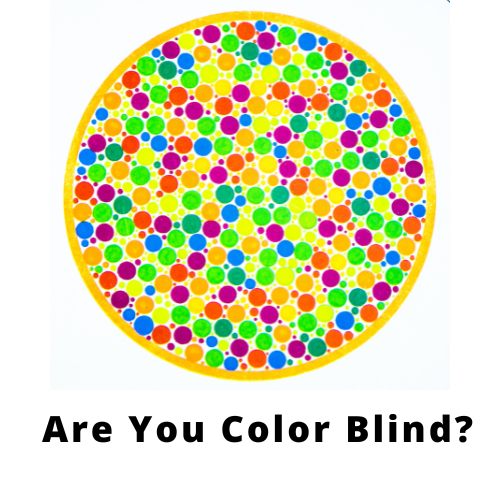 Article Featured Image What is Color Blind