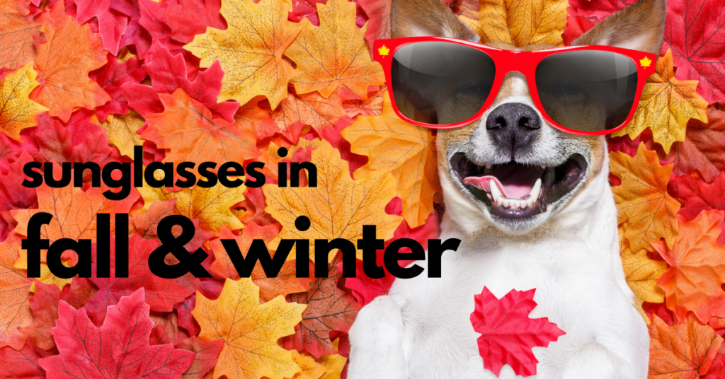 Featured Image for Sunglasses in fall and winter