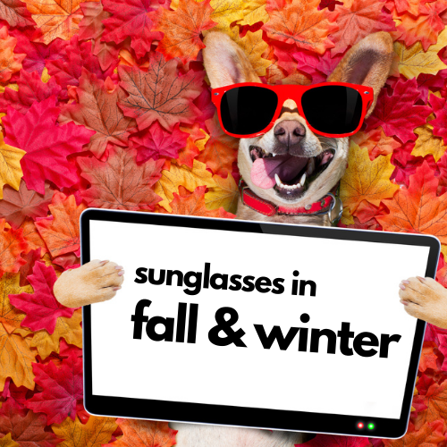 Article Image Sunglasses in Fall and Winter