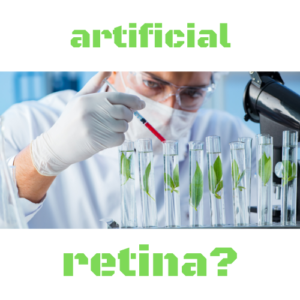 Article image for lab grown retinas