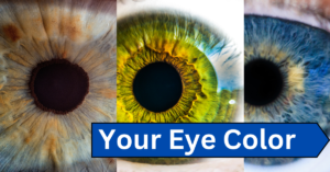 Featured Image for Your Eye Color