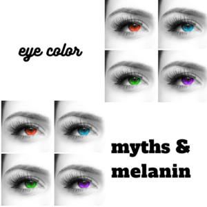 Featured article image for Eye Color: Myths and Melanin
