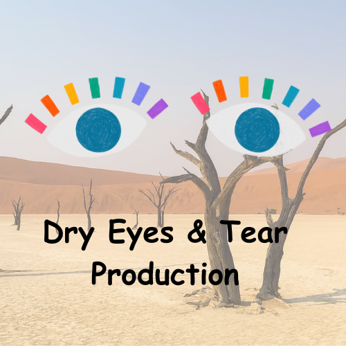 Article image for dry eyes and tear production