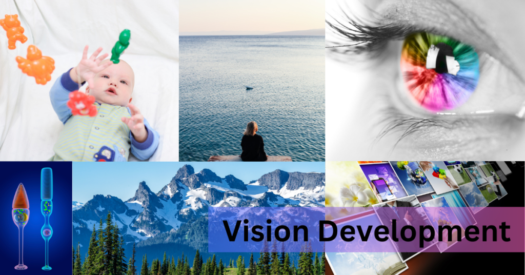 Featured article image for Vision Development