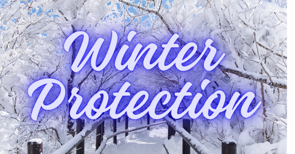 Featured Image for article Winter Eye Protection